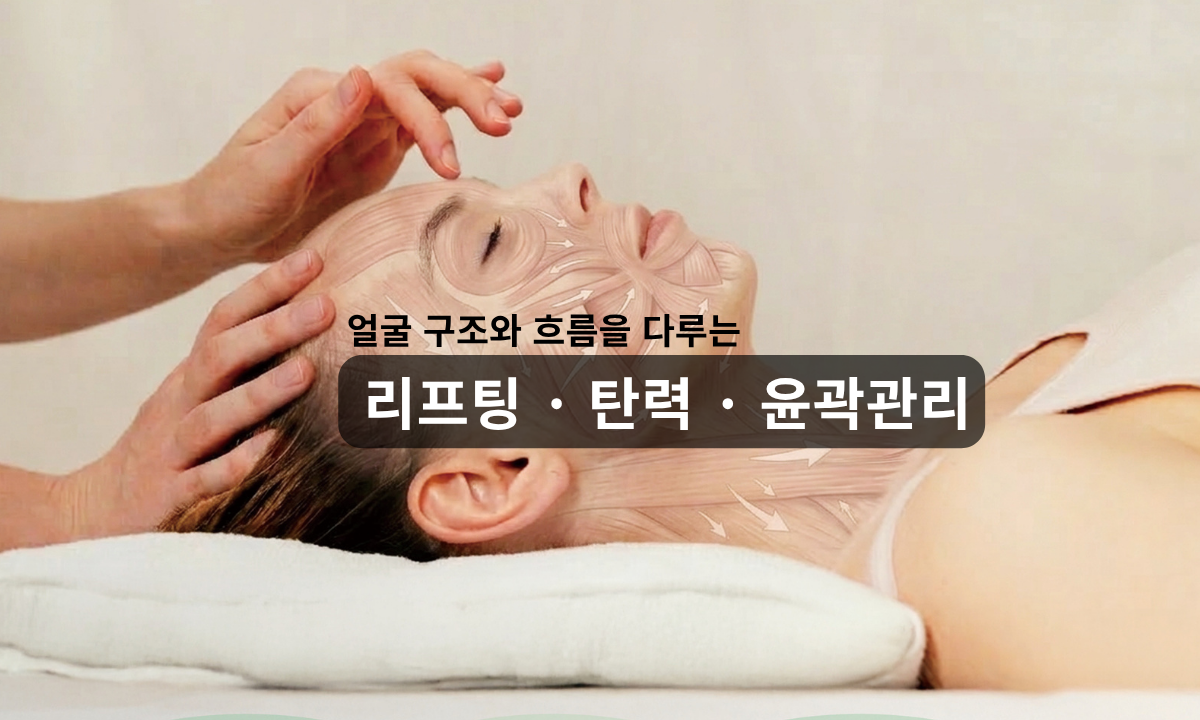 [4/14,화][제휴세미나/광주광역시] 얼굴 구조와 흐름을 다루는 리프팅, 탄력, 윤곽관리